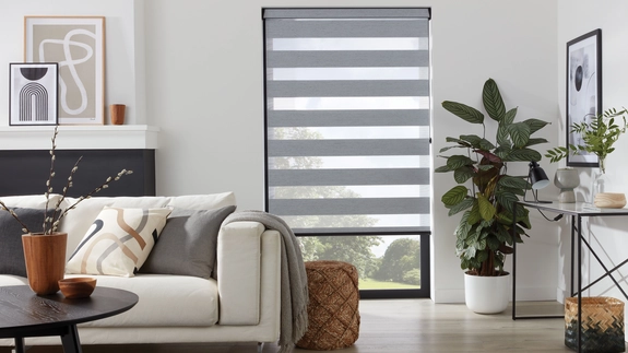 Day and Night Blinds (98)