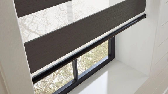 Day and Night Blinds (101)