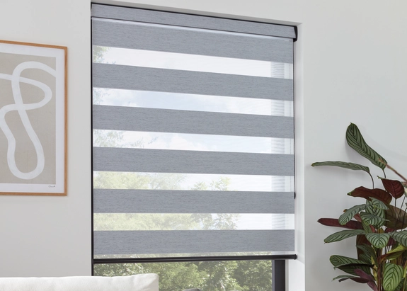 Day and Night Blinds (102)