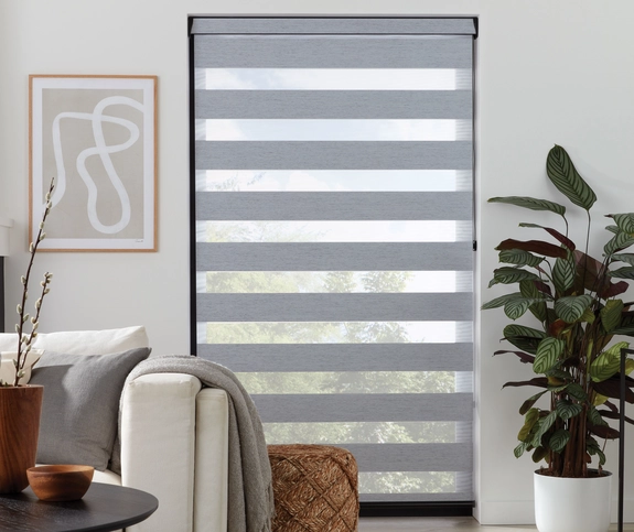 Day and Night Blinds (103)