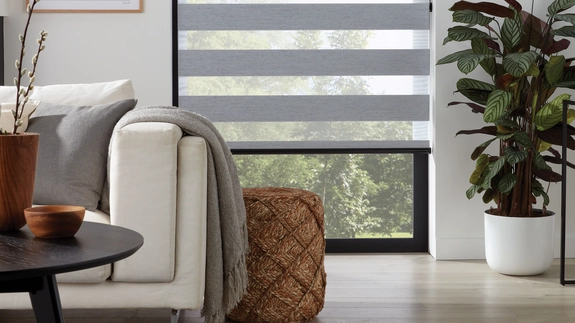 Day and Night Blinds (104)