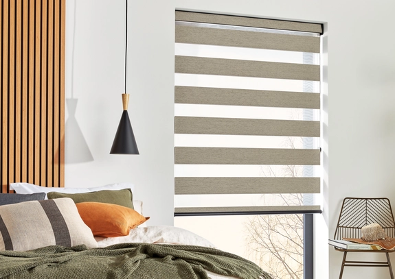 Day and Night Blinds (105)