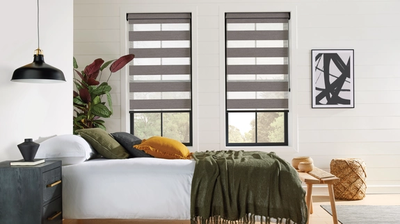 Day and Night Blinds (106)