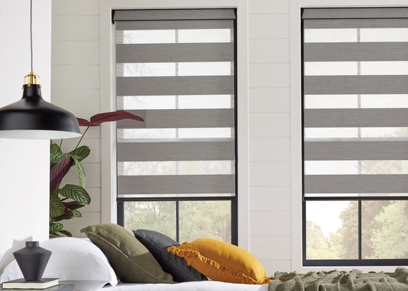 Day and Night Blinds (107)