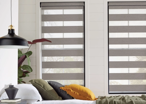 Day and Night Blinds (110)