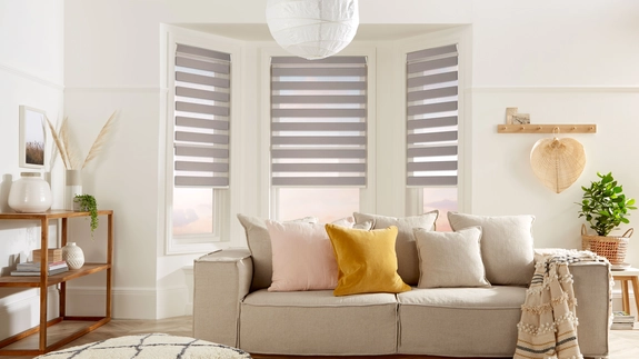 Day and Night Blinds (112)