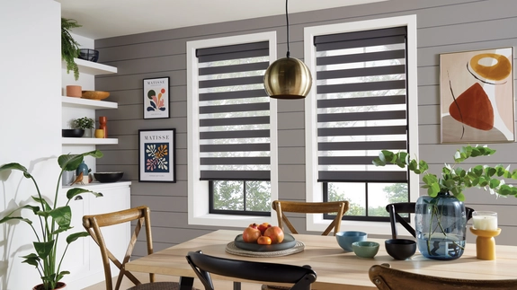 Day and Night Blinds (115)