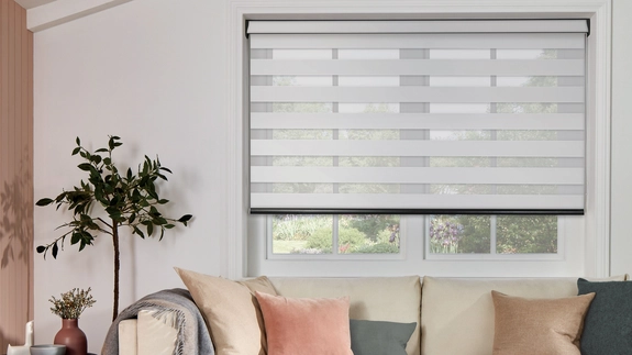 Day and Night Blinds (117)