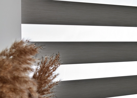 Day and Night Blinds (119)