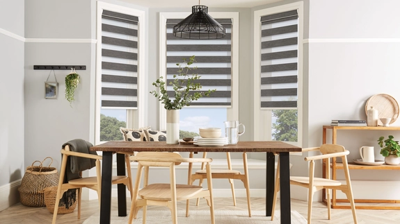 Day and Night Blinds (120)