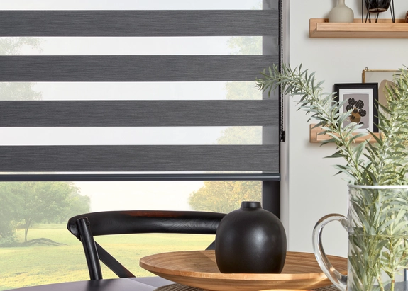 Day and Night Blinds (122)