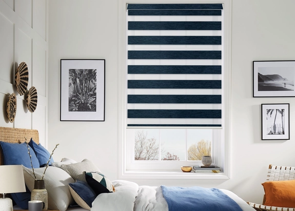 Day and Night Blinds (124)
