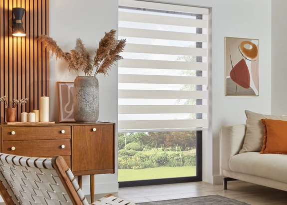 Day and Night Blinds (126)