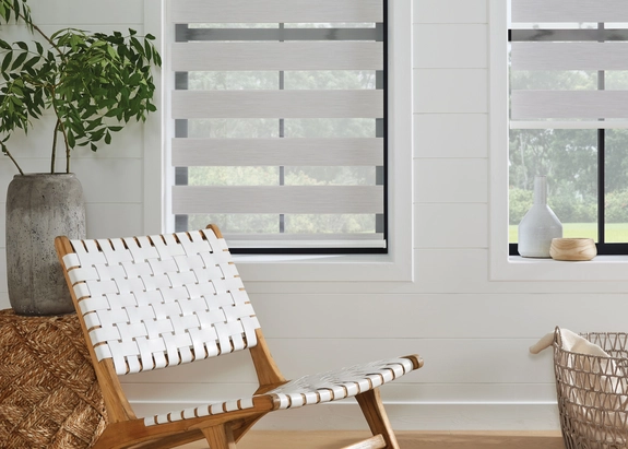 Day and Night Blinds (127)