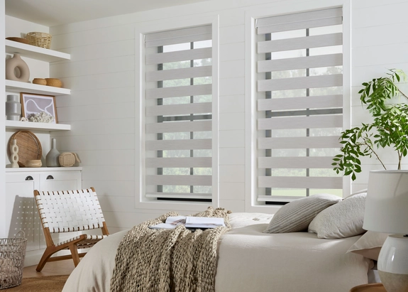 Day and Night Blinds (128)