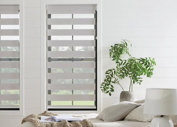 Day and Night Blinds (129)