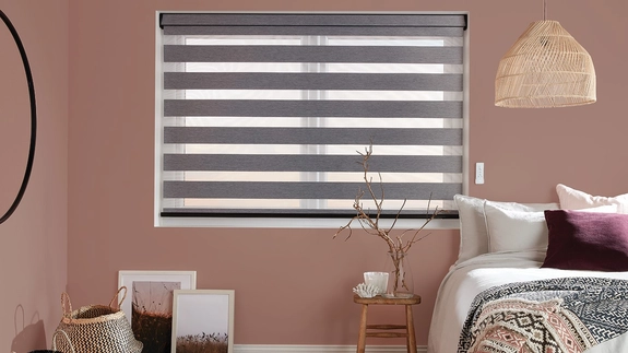 Day and Night Blinds (131)