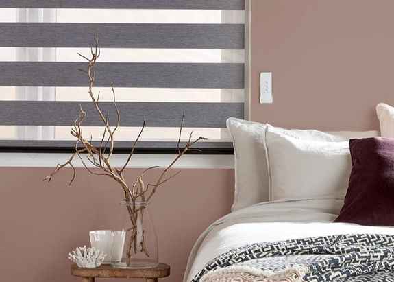 Day and Night Blinds (132)