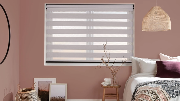 Day and Night Blinds (135)