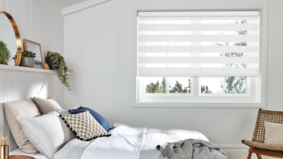 Day and Night Blinds (137)