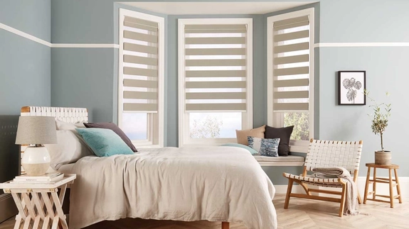 Day and Night Blinds (139)