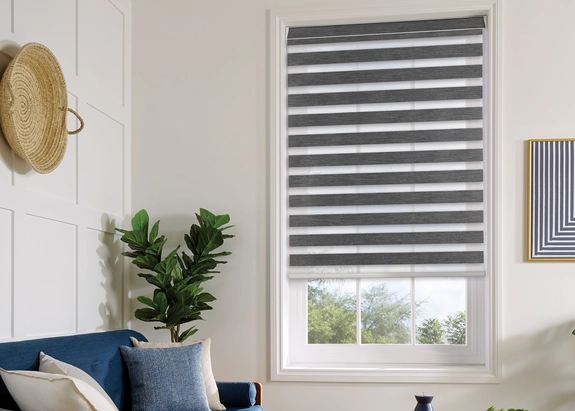 Day and Night Blinds (141)