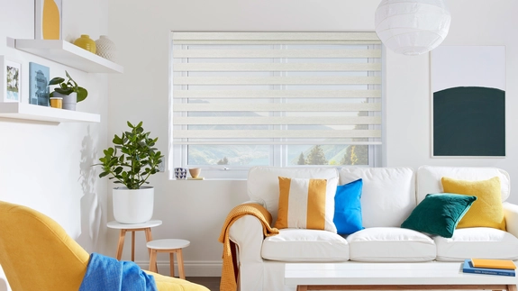 Day and Night Blinds (142)