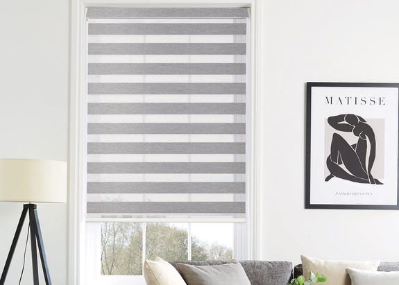 Day and Night Blinds (143)