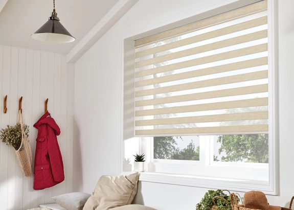 Day and Night Blinds (144)