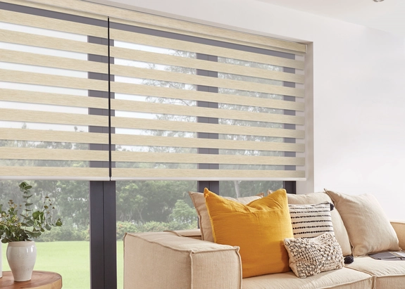 Day and Night Blinds (145)