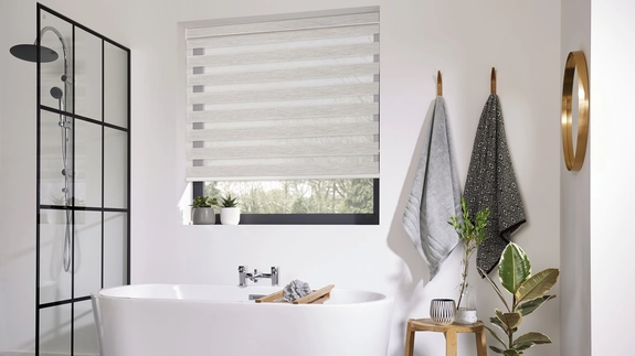 Day and Night Blinds (146)