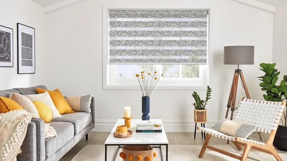 Day and Night Blinds (147)