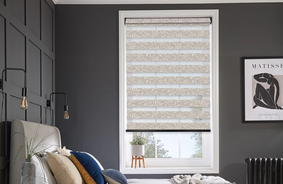 Day and Night Blinds (149)