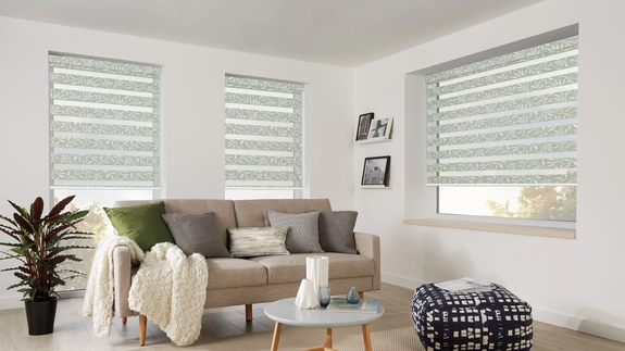 Day and Night Blinds (151)