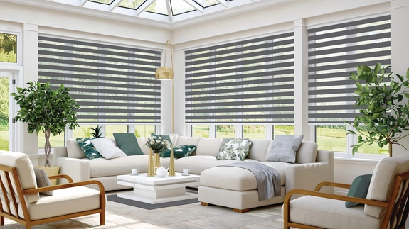 Day and Night Blinds (154)