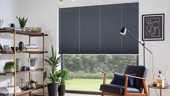 Pleated Blinds (41)