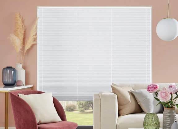 Pleated Blinds (43)