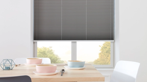 Pleated Blinds (48)