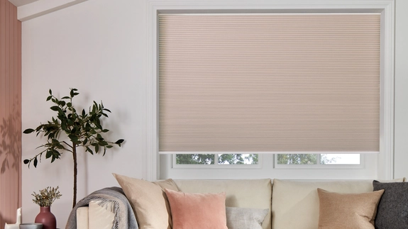 Pleated Blinds (51)