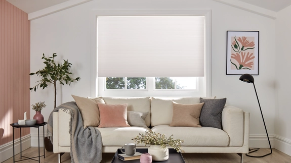 Pleated Blinds (52)
