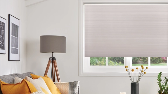 Pleated Blinds (54)