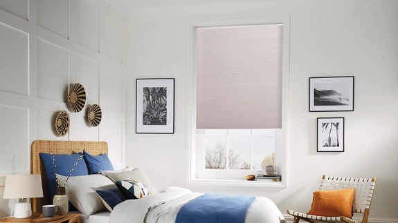 Pleated Blinds (55)