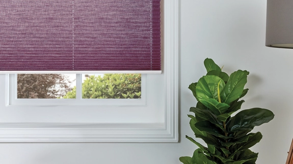 Pleated Blinds (57)