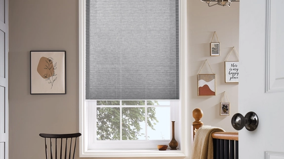 Pleated Blinds (58)