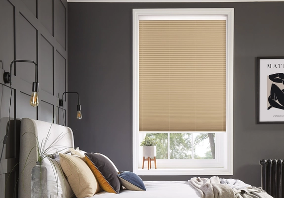 Pleated Blinds (59)