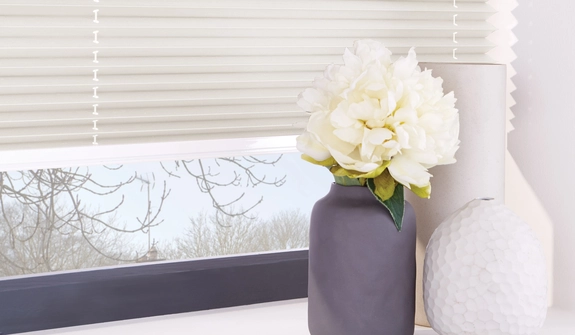 Pleated Blinds (60)