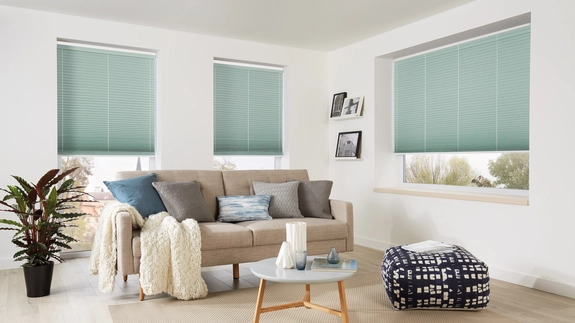 Pleated Blinds (62)