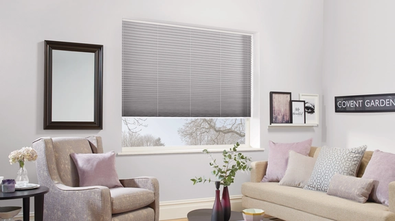 Pleated Blinds (64)