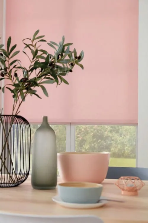 Roller Blind Gallery (28)