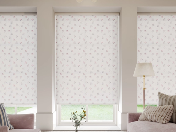 Roller Blind Gallery (57)
